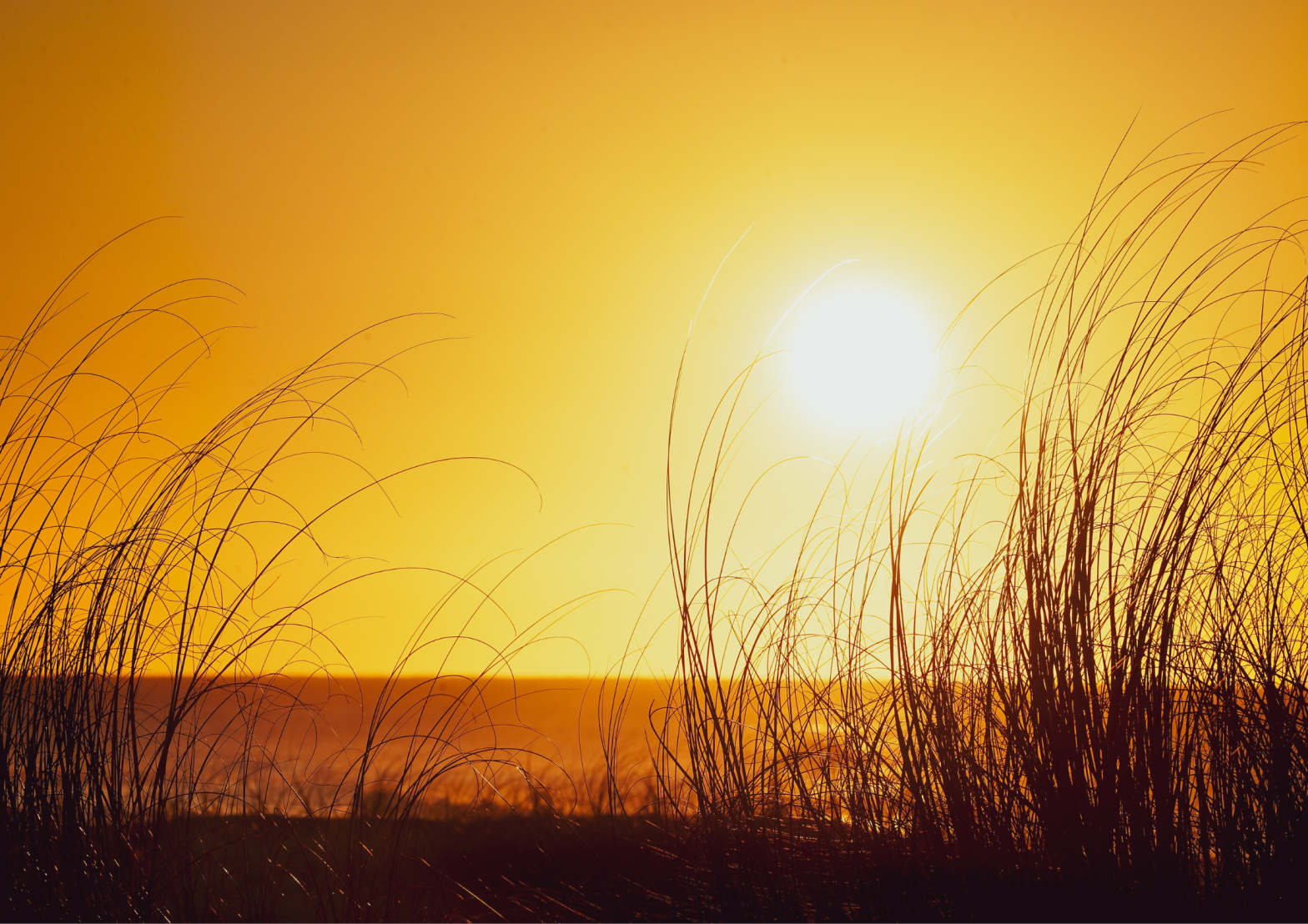<strong>What Is Solar Intensity?</strong>